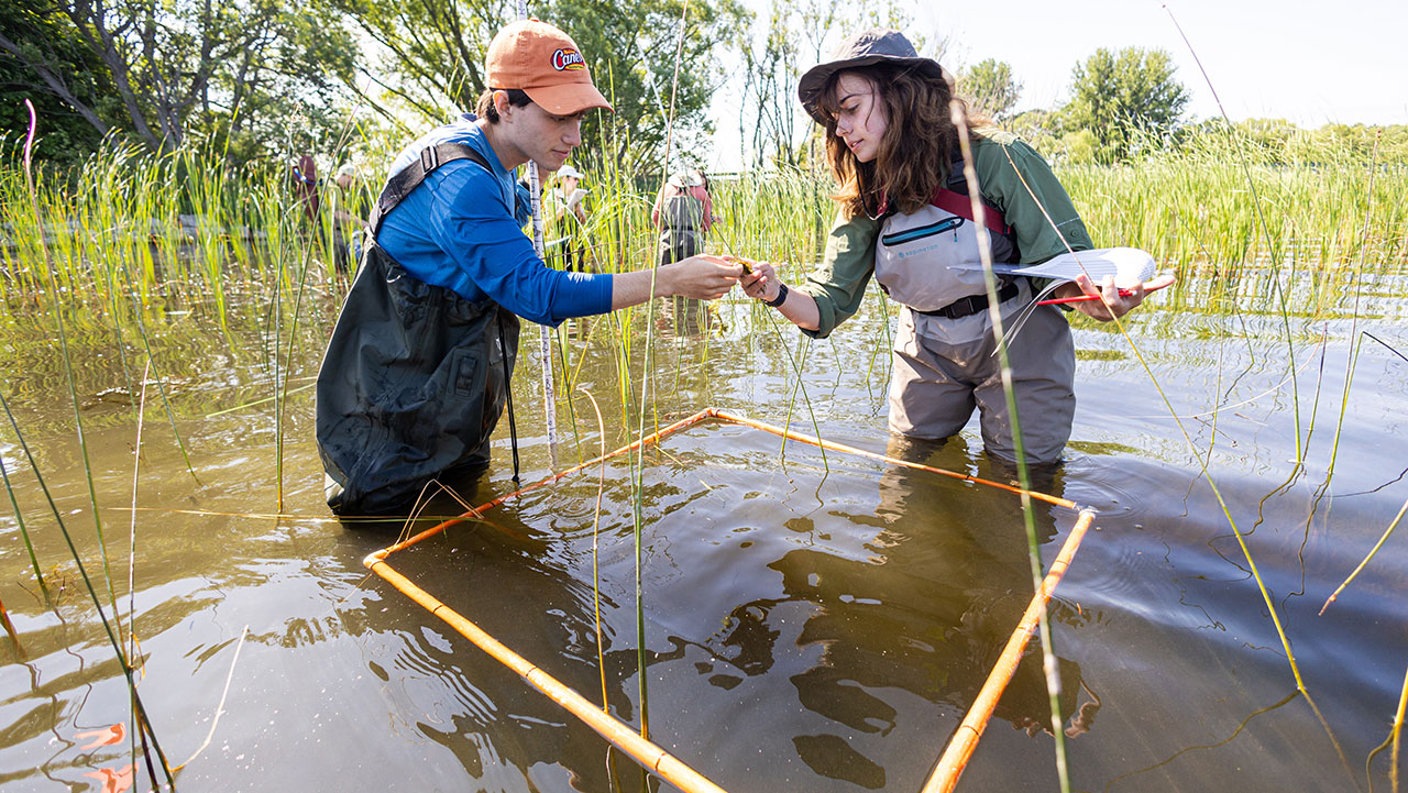 Researchers working in the field