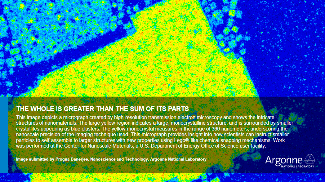 Micrograph made by TEM. Image by Progna Banerjee