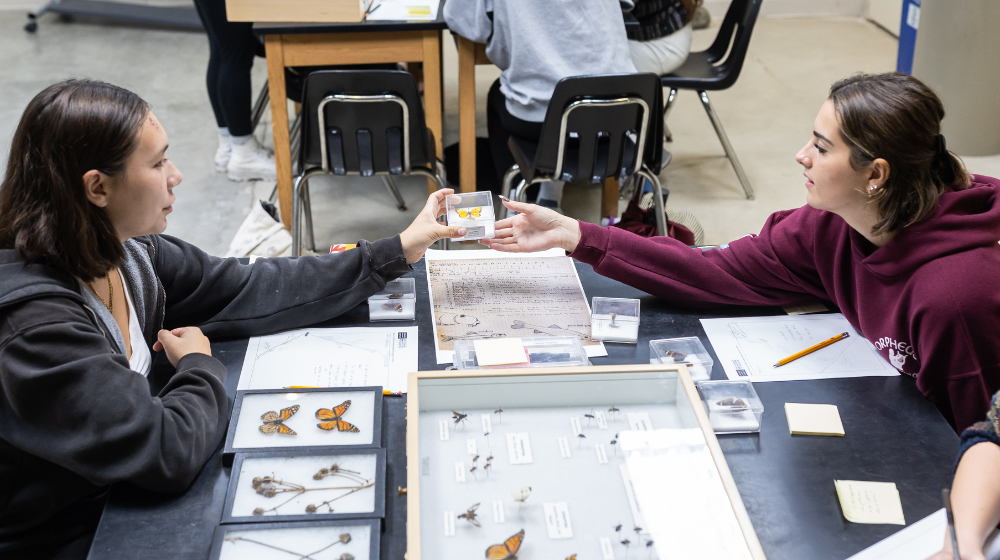 Students examine artifacts at the Peggy Notebaert Nature Museum. 