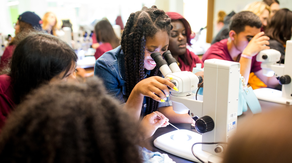 A student looks through a microscope.