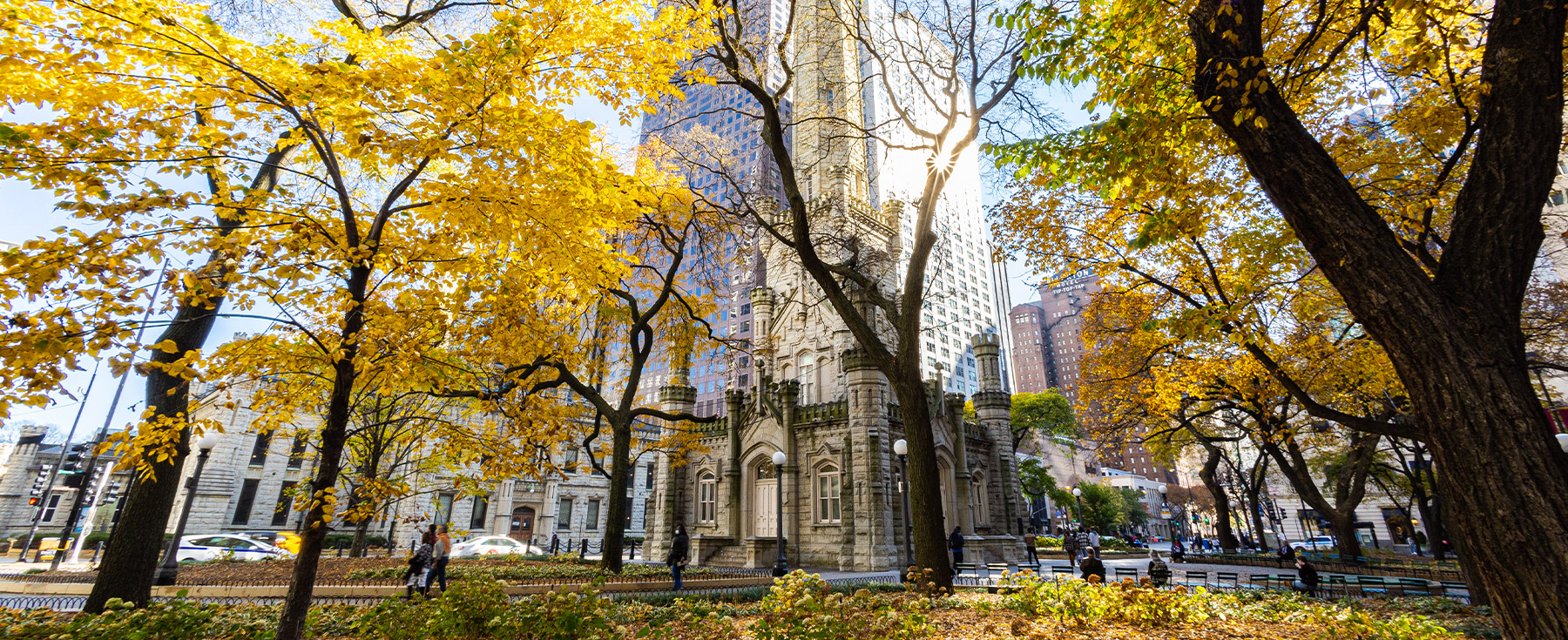 The Water Tower building surrounded by yellow-leaf trees