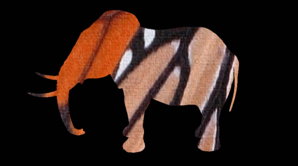Elephant cutout filled with monarch butterfly wing texture
