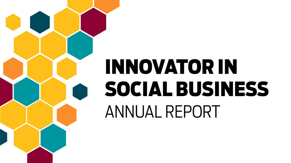 Innovator in Social Business Report Banner