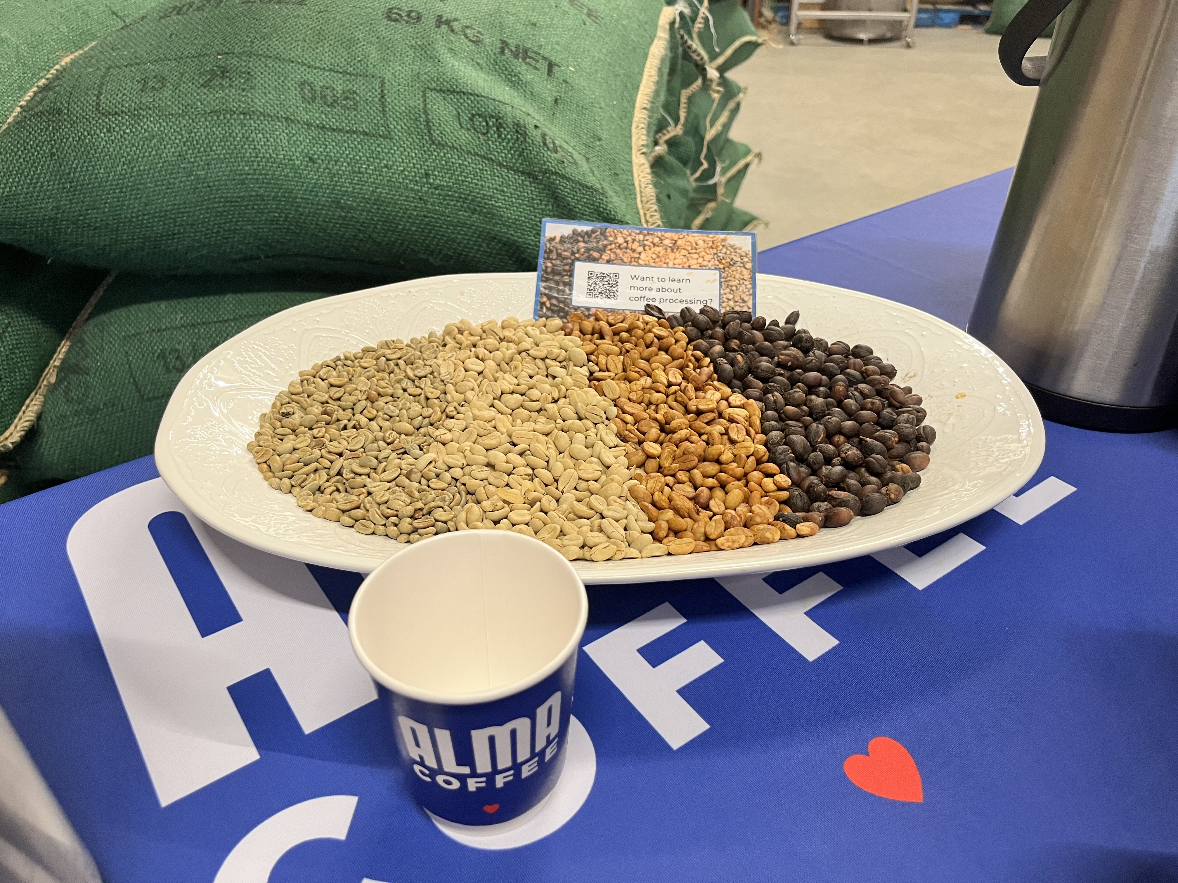 Coffee beans in their stages of life in becoming coffee.