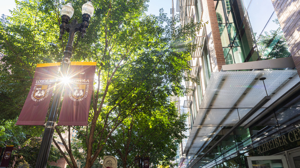Photo of sunlight coming through the leaves of trees and LUC banners in the Water Tower Campus