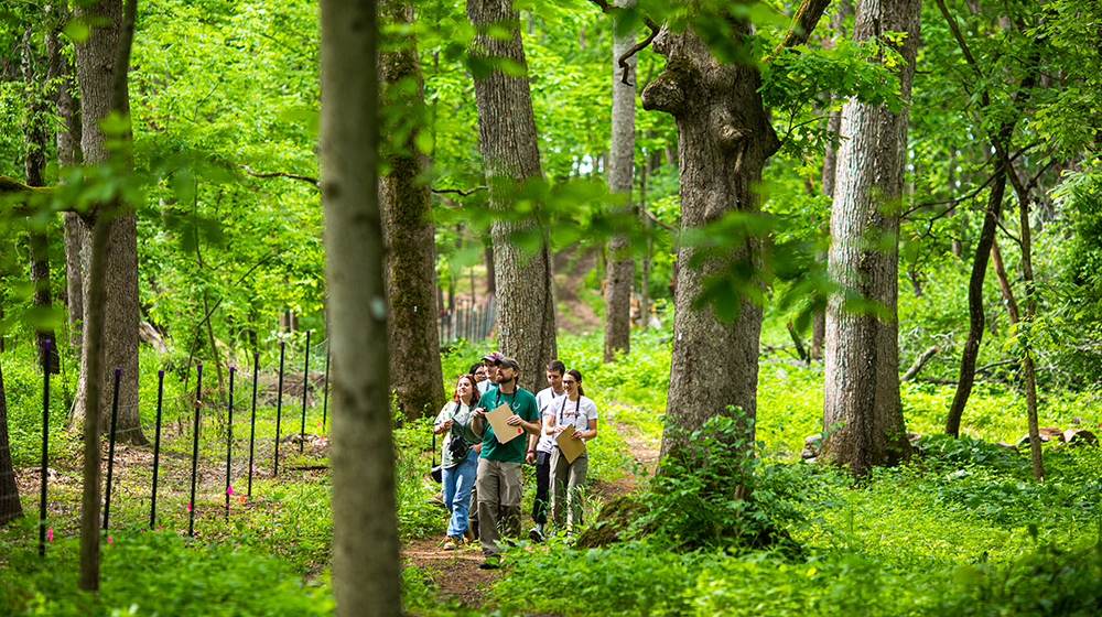 Students and instructor exploring a wooded area