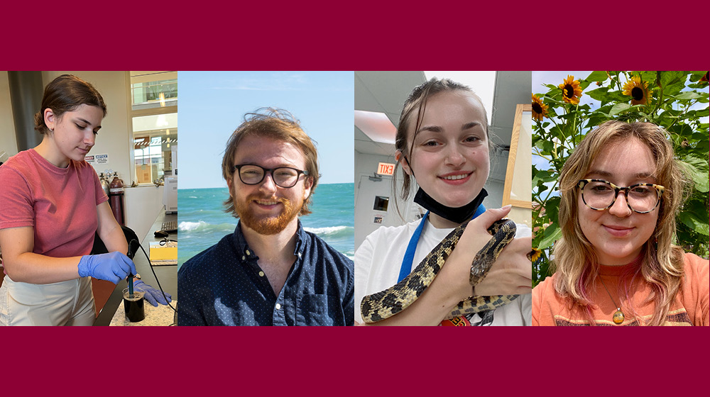 headshots of summer interns