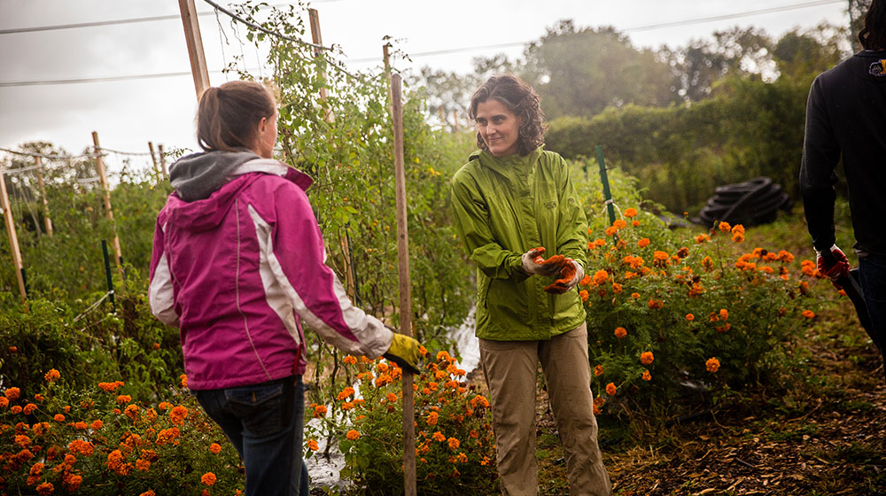 Tania Schusler at an urban farm