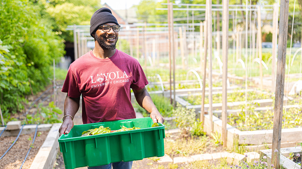 SES urban ag student team leader carrying a crate of produce.