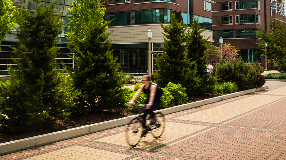 cyclist on the Loyola campus