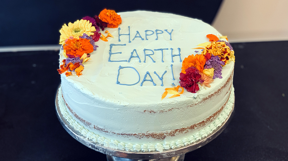 EarthDay Cake
