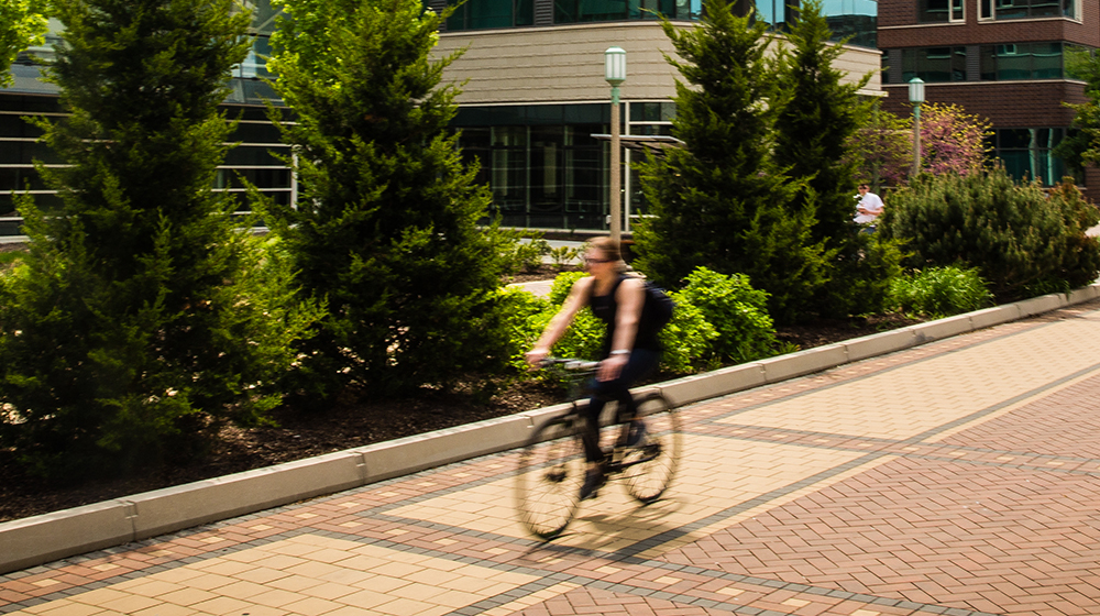 cyclist on Loyola campus