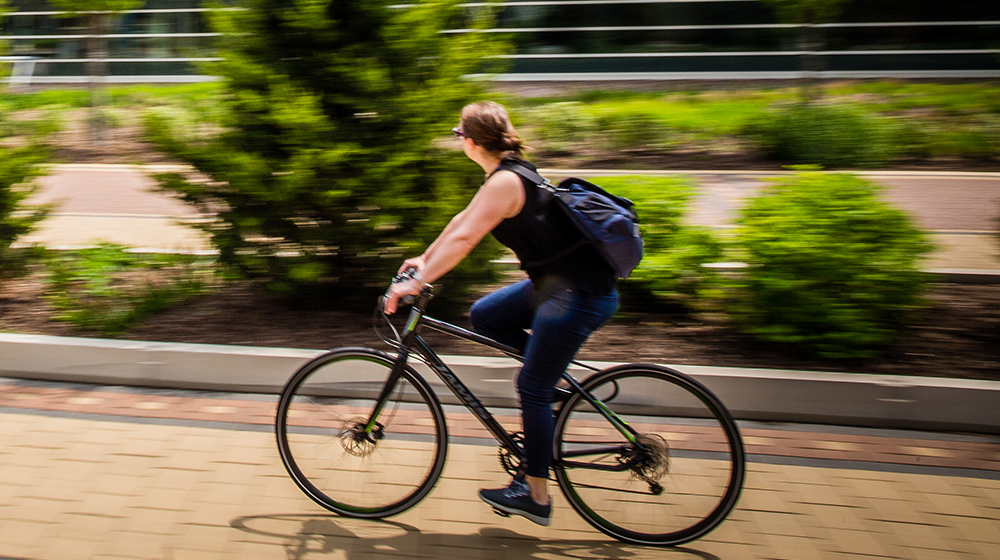 person on a bike on Loyola campus