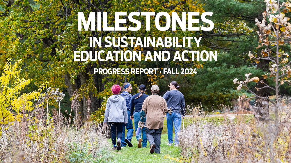 report cover image: Milestones in sustainability education and action