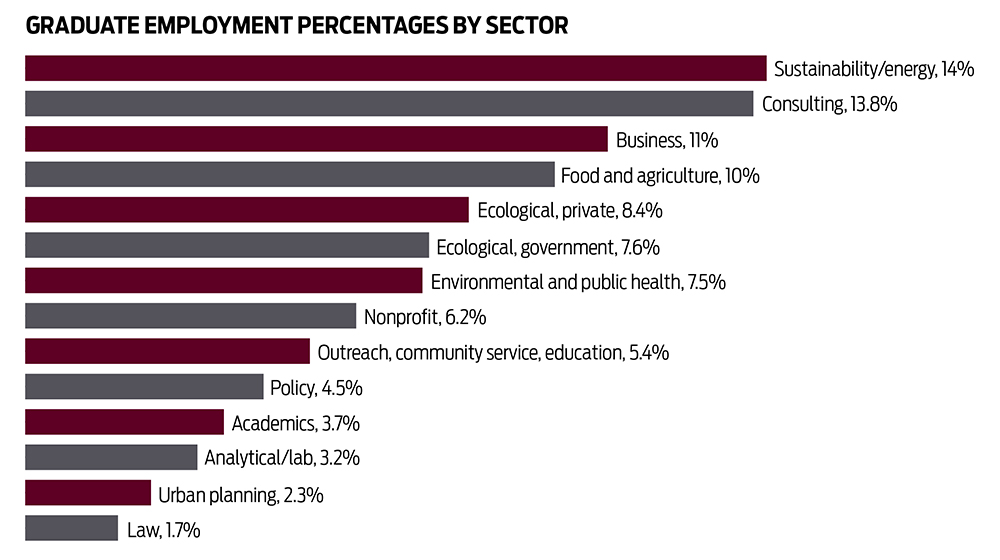 graph showing a breakdown of areas where alumni work, including sustainability and energy, consulting, and business