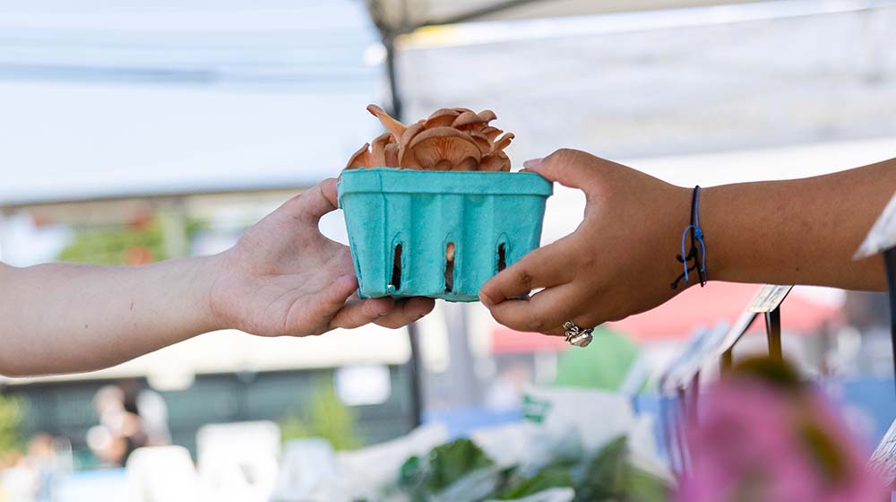 handing a box of mushrooms to a customer at a Farmers market
