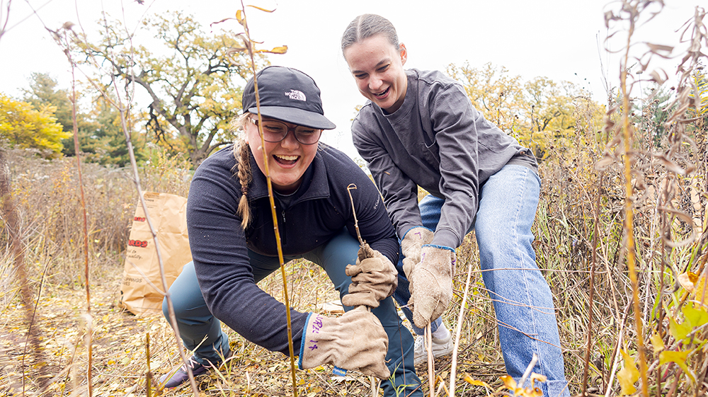 Students pull invasive weeds