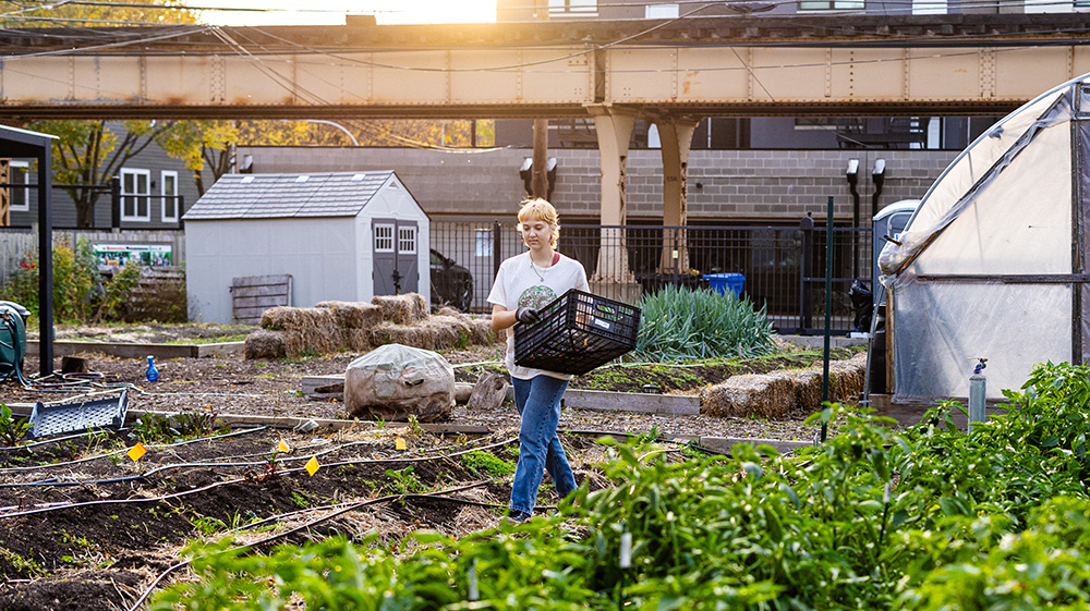 student working in an urban farm