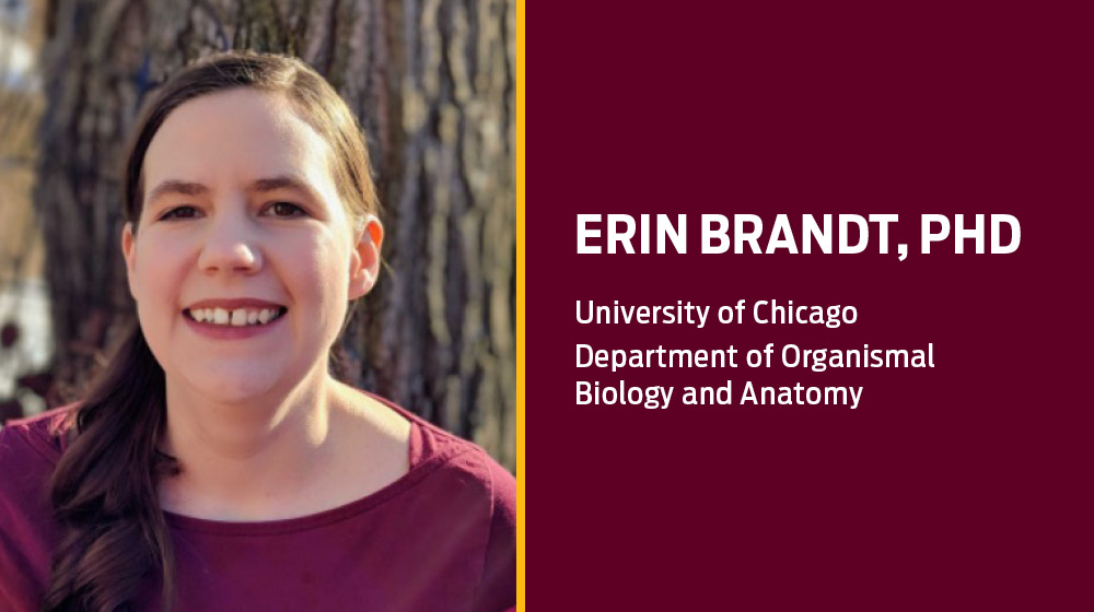 Erin Brandt PhD