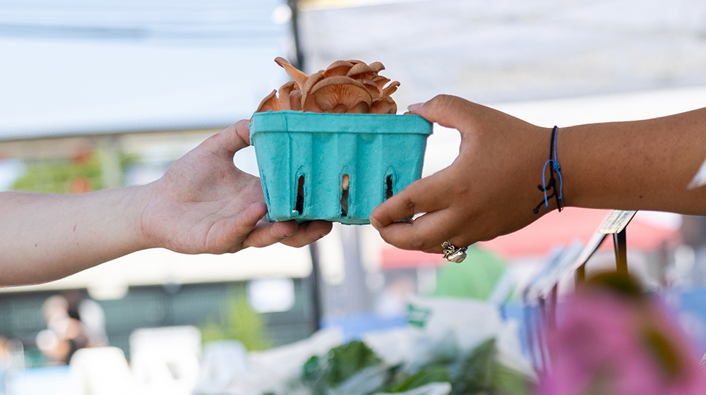 hands passing a box of mushrooms from one person to another