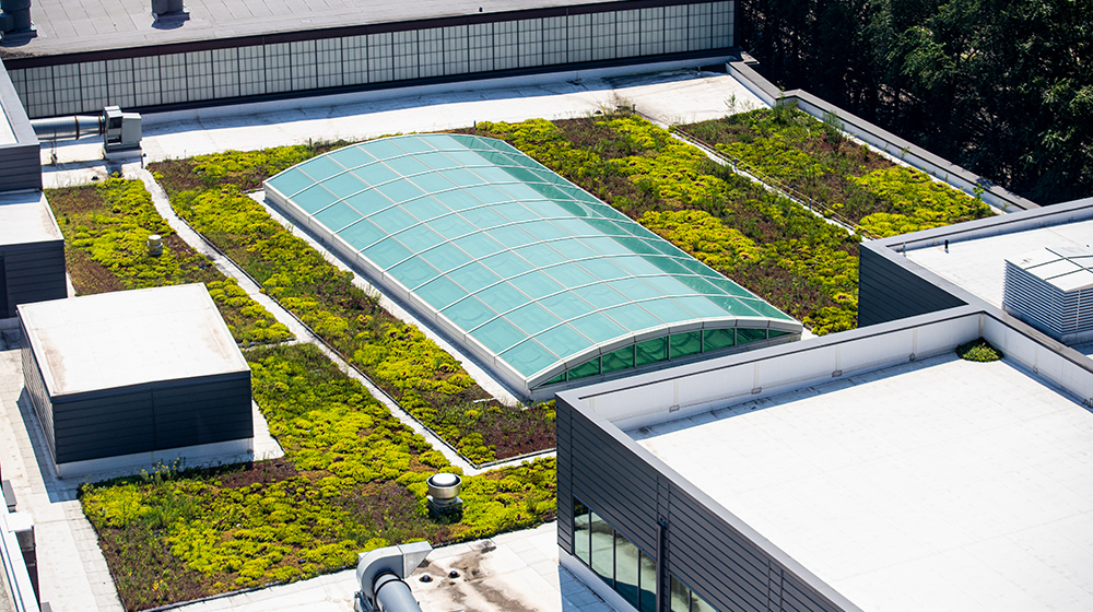 Green roof on lake shore campus