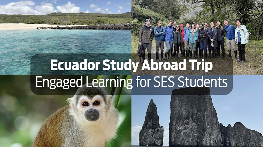 thumbnail of video opening image--monkey picture and coastal photos