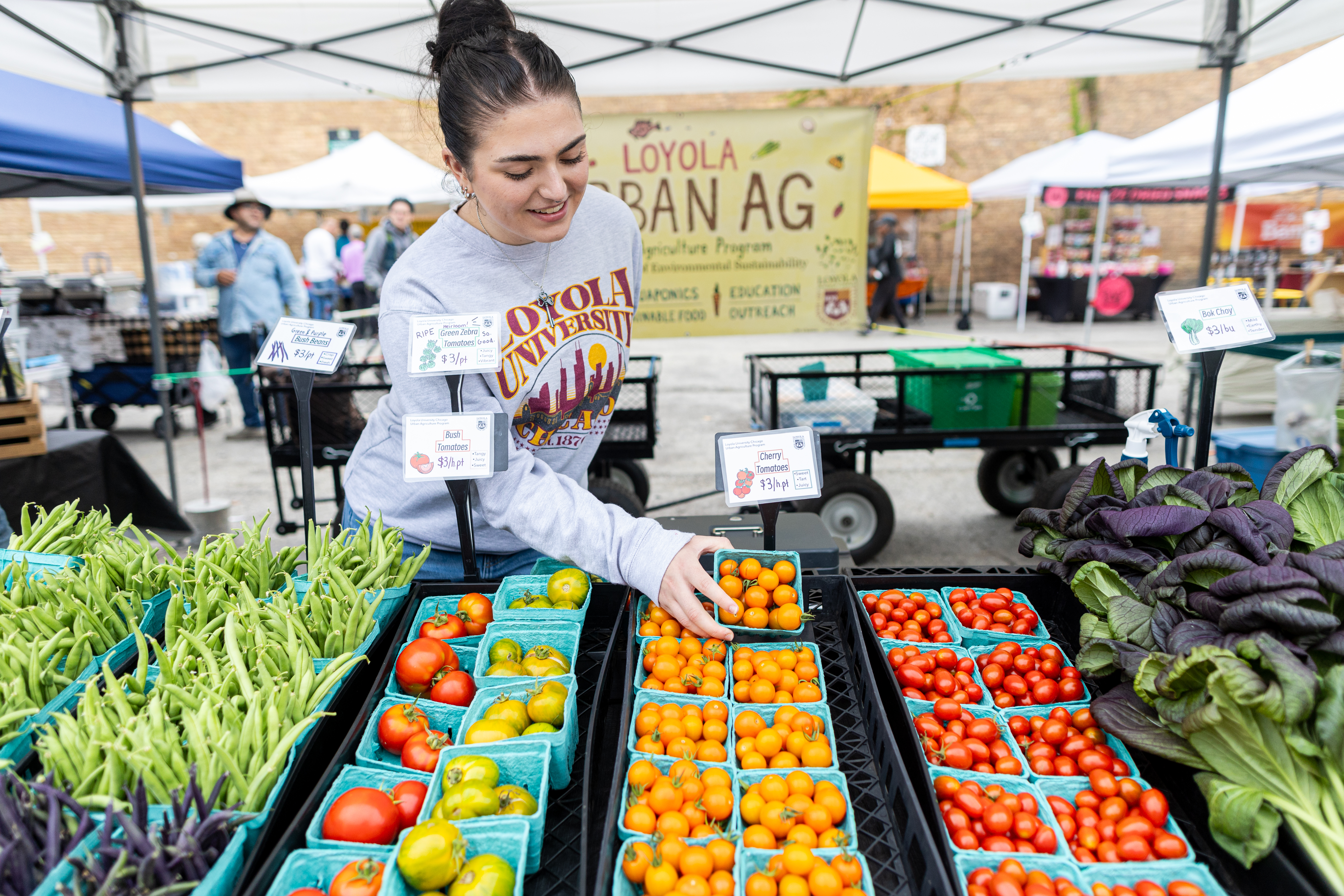 Student arranges vegetables on a table at the Edgewater Farmers Market 