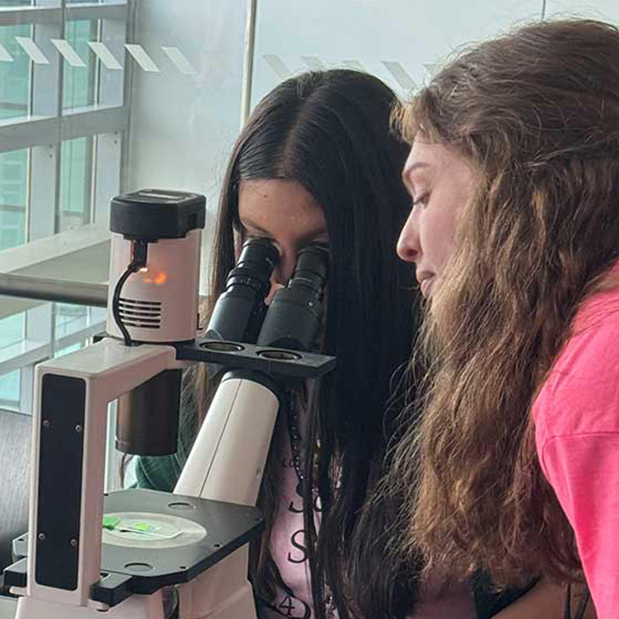 One students looks into a microscope while two other students look on